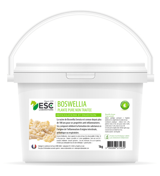 BOSWELLIA SERRATA – Plante pure – Sensibilités articulaires et pulmonaires cheval  1kg