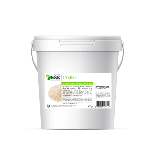 LYSINE + – Soutien de l’effort et développement musculaire cheval-500g