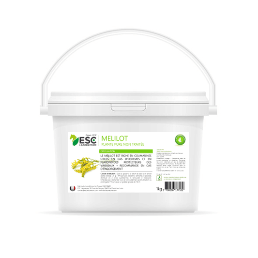 MELILOT – Circulation cheval – Plante pure