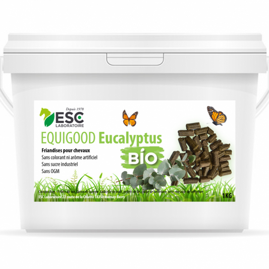 EQUIGOOD EUCALYPTUS – Friandises pour chevaux